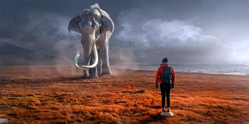 Future Encounters